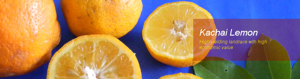 Slideshow Image 5