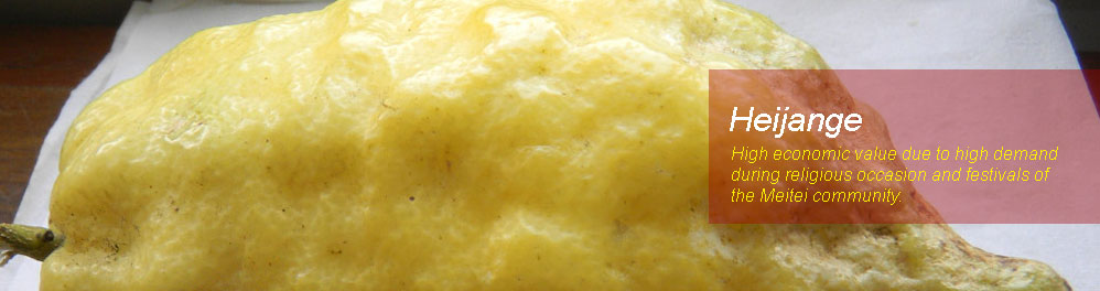 Slideshow Image 4
