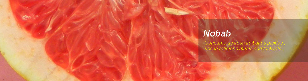 Slideshow Image 3